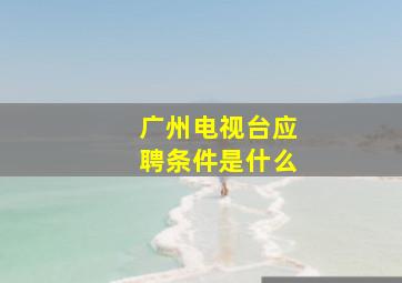 广州电视台应聘条件是什么