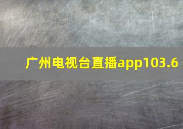 广州电视台直播app103.6