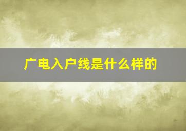 广电入户线是什么样的