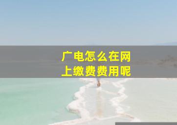 广电怎么在网上缴费费用呢