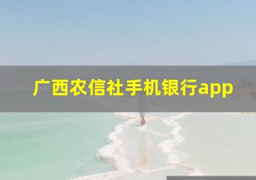 广西农信社手机银行app