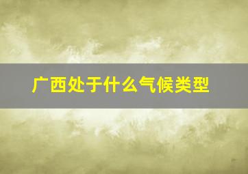 广西处于什么气候类型