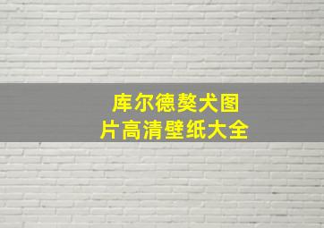 库尔德獒犬图片高清壁纸大全