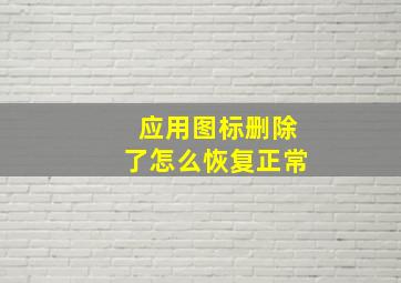 应用图标删除了怎么恢复正常