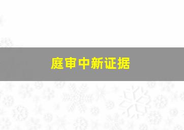 庭审中新证据