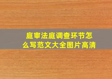 庭审法庭调查环节怎么写范文大全图片高清