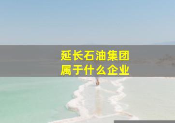 延长石油集团属于什么企业