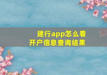 建行app怎么看开户信息查询结果