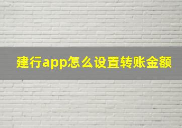 建行app怎么设置转账金额