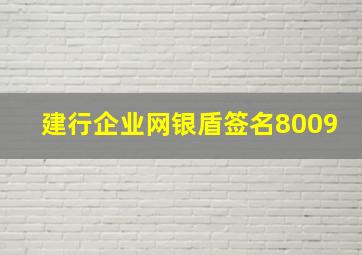 建行企业网银盾签名8009