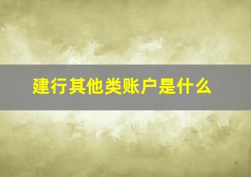 建行其他类账户是什么