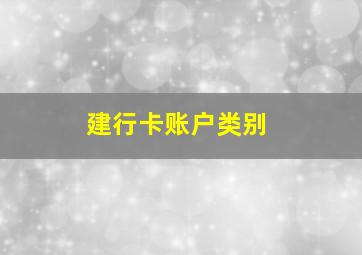 建行卡账户类别