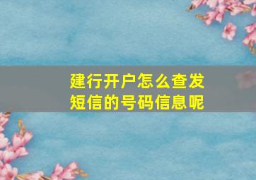 建行开户怎么查发短信的号码信息呢