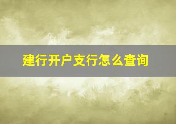 建行开户支行怎么查询