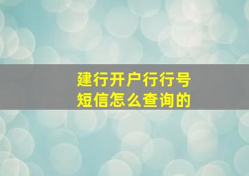 建行开户行行号短信怎么查询的