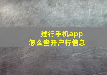 建行手机app怎么查开户行信息