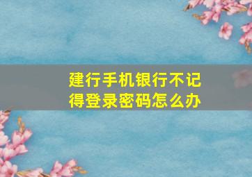 建行手机银行不记得登录密码怎么办