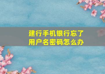 建行手机银行忘了用户名密码怎么办