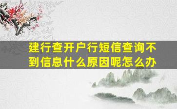 建行查开户行短信查询不到信息什么原因呢怎么办