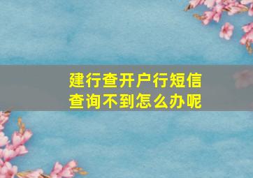 建行查开户行短信查询不到怎么办呢