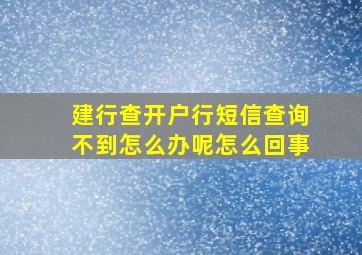 建行查开户行短信查询不到怎么办呢怎么回事