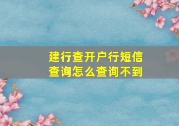 建行查开户行短信查询怎么查询不到