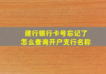 建行银行卡号忘记了怎么查询开户支行名称