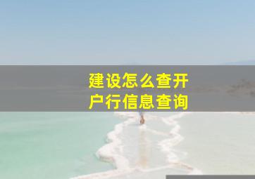 建设怎么查开户行信息查询