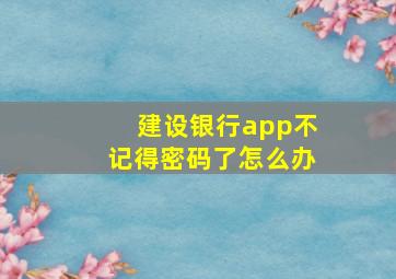 建设银行app不记得密码了怎么办