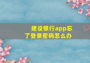 建设银行app忘了登录密码怎么办