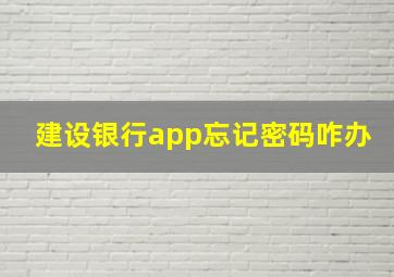 建设银行app忘记密码咋办