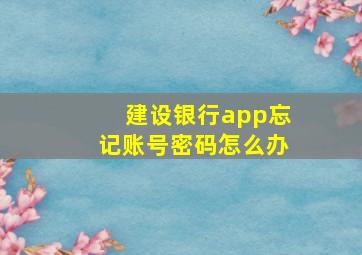 建设银行app忘记账号密码怎么办