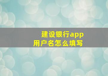 建设银行app用户名怎么填写