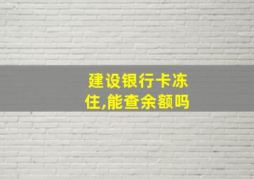 建设银行卡冻住,能查余额吗