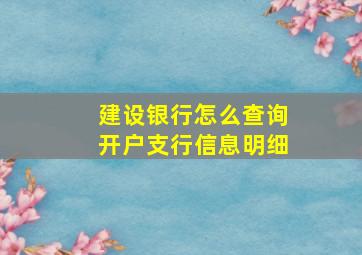 建设银行怎么查询开户支行信息明细