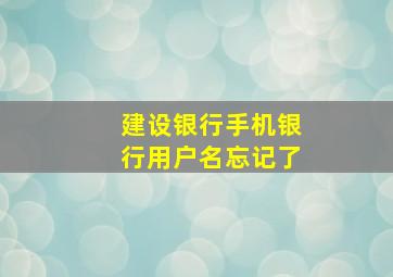 建设银行手机银行用户名忘记了