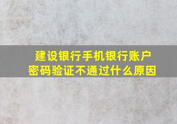 建设银行手机银行账户密码验证不通过什么原因