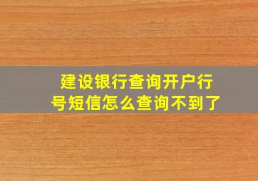 建设银行查询开户行号短信怎么查询不到了