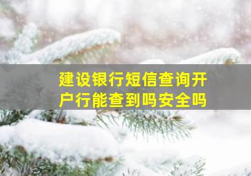 建设银行短信查询开户行能查到吗安全吗