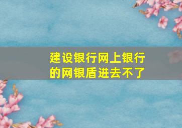 建设银行网上银行的网银盾进去不了