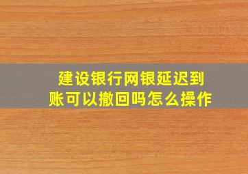 建设银行网银延迟到账可以撤回吗怎么操作