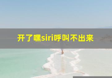 开了嘿siri呼叫不出来