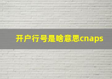 开户行号是啥意思cnaps