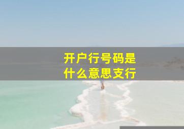 开户行号码是什么意思支行