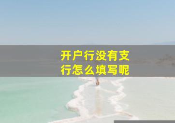 开户行没有支行怎么填写呢