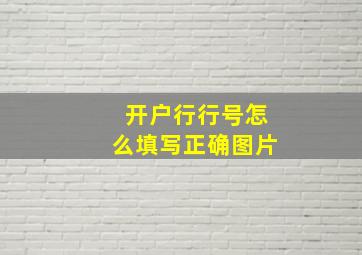 开户行行号怎么填写正确图片