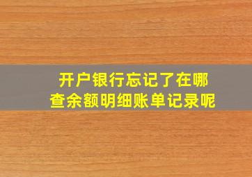 开户银行忘记了在哪查余额明细账单记录呢