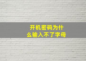 开机密码为什么输入不了字母