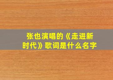 张也演唱的《走进新时代》歌词是什么名字