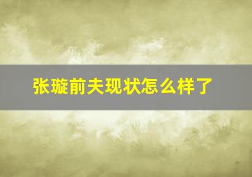 张璇前夫现状怎么样了